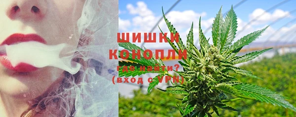 СК Тында