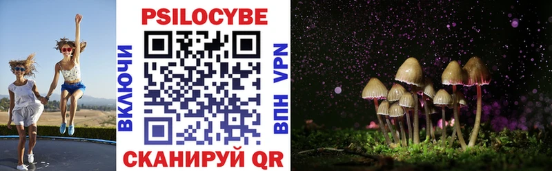 Галлюциногенные грибы Cubensis Мытищи