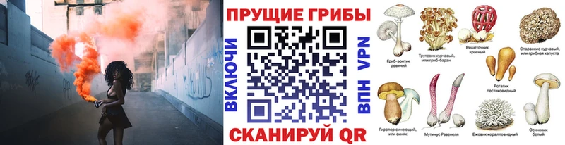 продажа наркотиков Мытищи Галлюциногенные грибы ЛСД