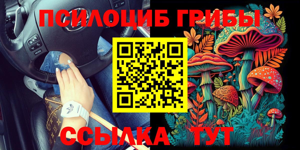 Псилоцибиновые грибы Cubensis Мытищи