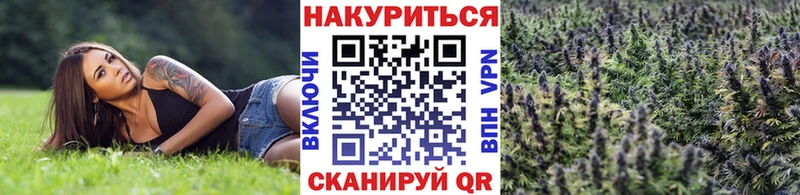Бошки марихуана тримм  Мытищи 